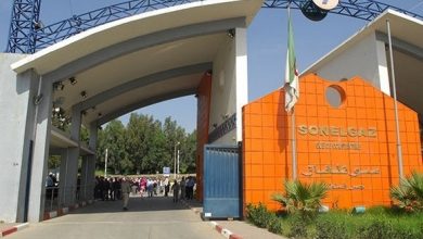 صورة طاقة: سونلغاز تدرس إمكانية التوجه نحو ربط الشبكات مع أوروبا