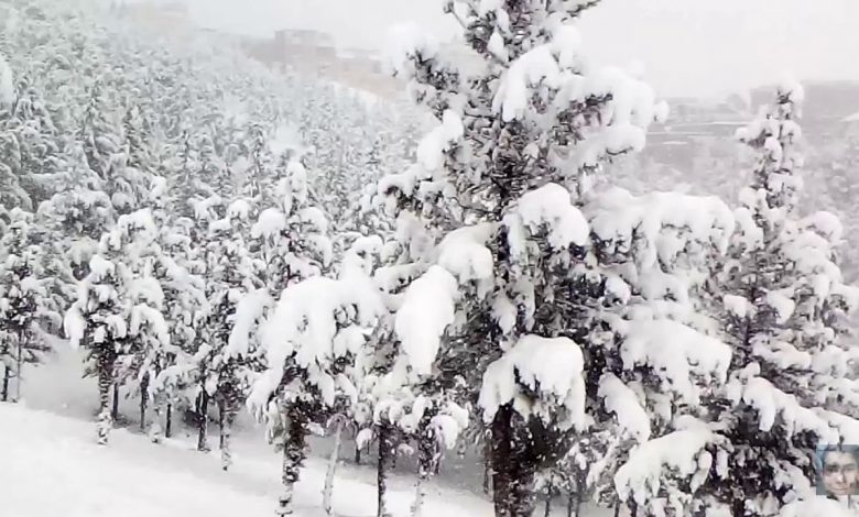 صورة تساقط ثلوج كثيفة على مرتفعات 900 متر بهذه الولايات